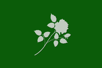 Flower Green Long, par Xavier E. G. Dierick